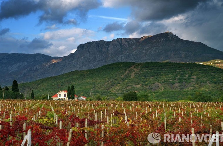 Những vườn nho đang độ chín gần làng Nizhnyaya Kutuzovka.  Cảnh sắc trời thu ở Crimea được lột tả chân thực qua bộ ảnh của hãng Ria Novosti.