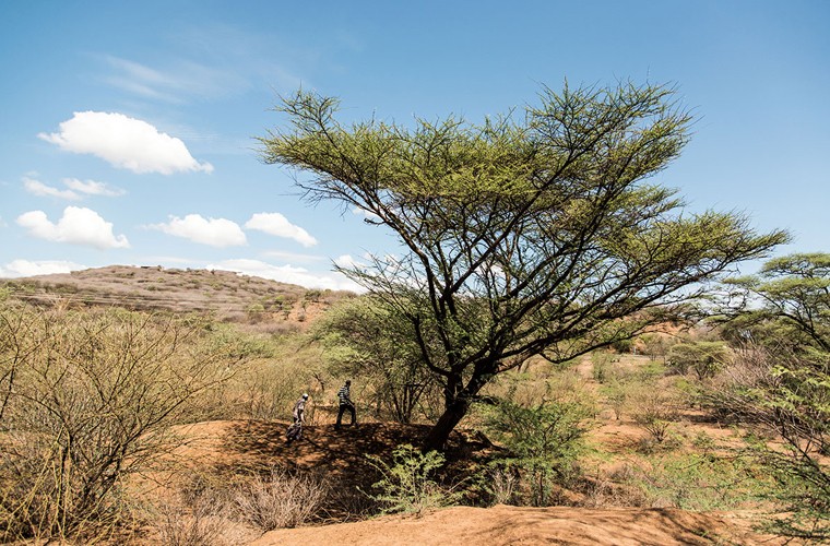 Quốc gia ở miền đông Phi - Cộng hòa Kenya không nổi tiếng về mật ong nếu so với Ethiopia và Tanzania. Nhưng các cảnh quan thiên nhiên ở quốc gia này rất tốt để nuôi ong. Nguồn ảnh: Al Jazeera