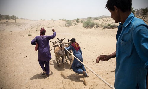 Ghé thăm huyện nghèo Pakistan xa xôi, quanh năm hạn hán