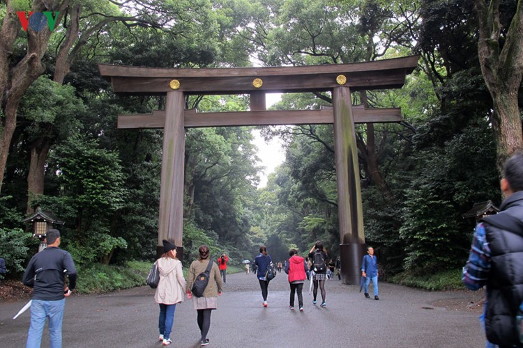 Cổng Torii đầu tiên dẫn vào khu vực đền  Meiji Jingu được làm bằng nguyên 2 thân cây có tuổi đời khoảng 1.700 năm. Đền mở cửa từ sáng đến tối, vào cửa miễn phí.