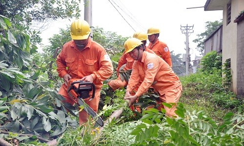 EVN HANOI với công tác đảm bảo an toàn điện mùa bão