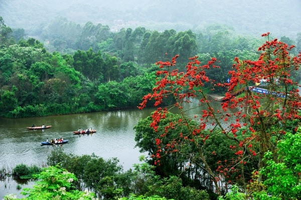 Chùa Hương là địa điểm được nhiều bạn trẻ chọn tới để  chụp ảnh hoa gạo vào dịp loài hoa này nở rộ. Trong khung cảnh nên thơ, hữu tình sông nước, những bông hoa đỏ khiến cả một góc trời của di tích này rực rỡ hơn bao giờ hết.