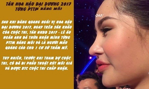 Tân Hoa hậu Đại dương 2017 bị dân mạng chế ảnh ném đá