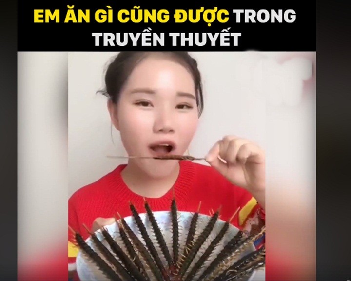 Việc ăn côn trùng là tập tục truyền thống của nhiều dân tộc trên thế giới bởi nó được coi là loại thức ăn bổ dưỡng và ngon miệng. Tuy nhiên, khi chứng kiến cô gái trẻ say mê ăn rết, bọ cạp, giun, nhiều người vẫn khó tránh khỏi cảm giác rùng mình và phải phong cho cô biệt danh " thánh nữ ăn côn trùng".