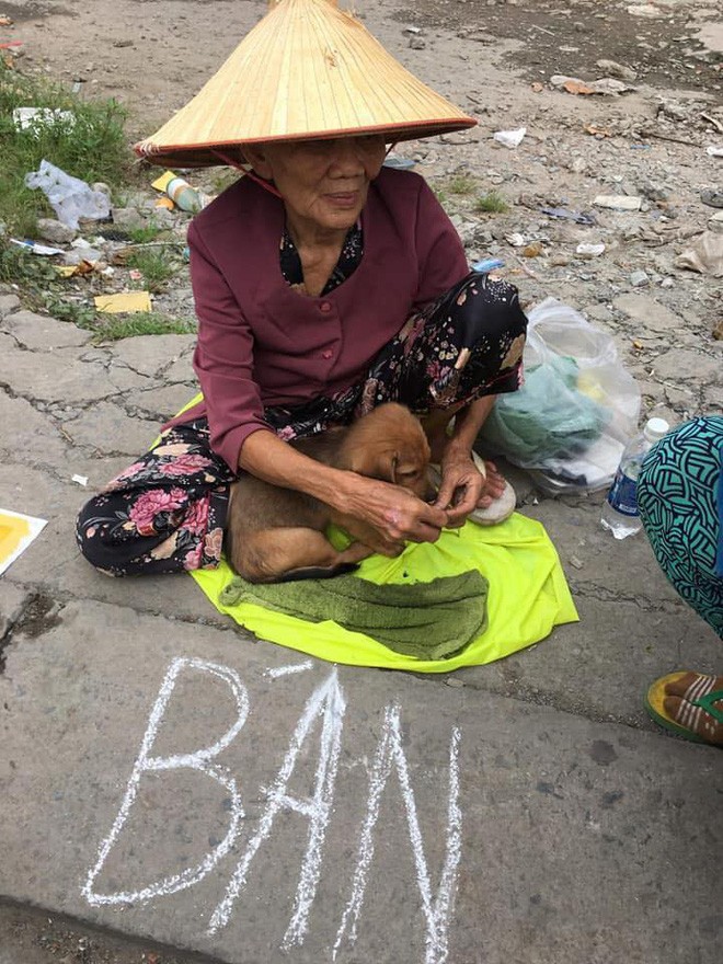 Mới đây trên MXH, những hình ảnh và câu chuyện về  bà cụ nghèo phải bán đi chú chó nhỏ được dân mạng lan truyền và lấy đi không ít nước mắt của mọi người.