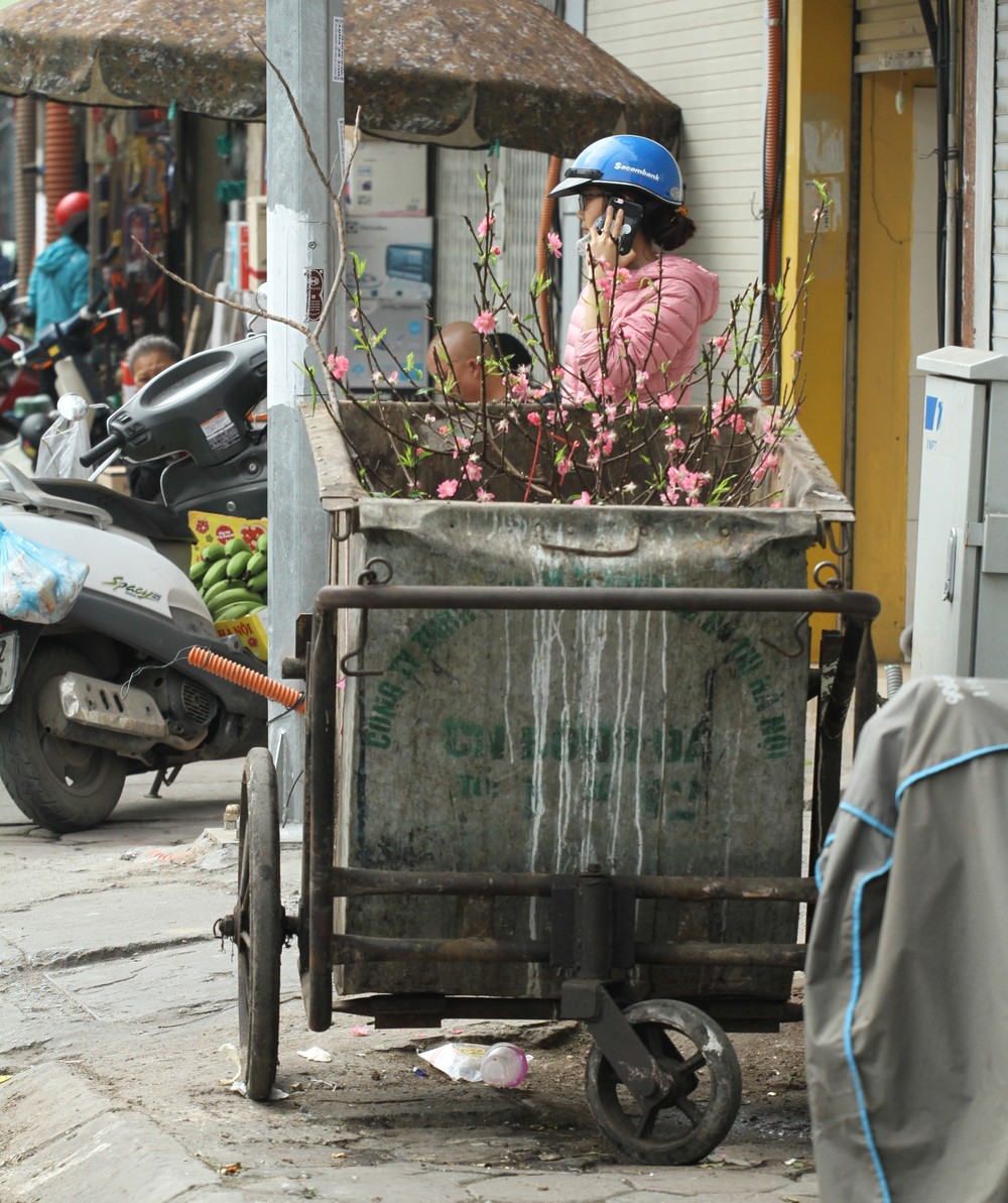 Chiều 29  Tết Nguyên đán Kỷ Hợi (tức 3/2/2019) đường phố Hà Nội đã bớt đông đúc. Đi dạo qua các con phố thuộc trung tâm thành phố, nhiều người dân sẽ không khó để gặp cảnh tượng những cây đào chưa đến Tết đã bị ném ra thùng rác.