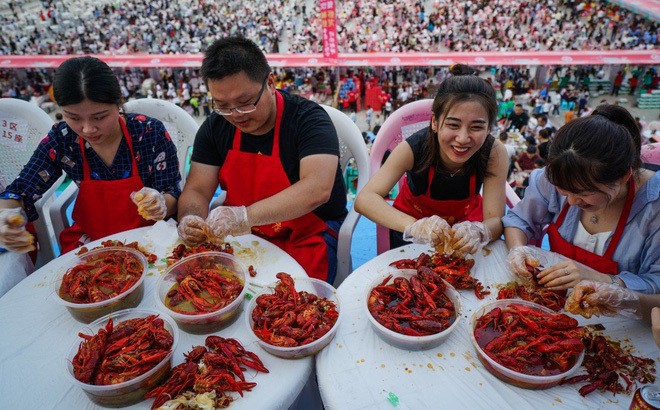 'Tham thì thâm': Nuôi tôm hùm đất hậu quả khó lường