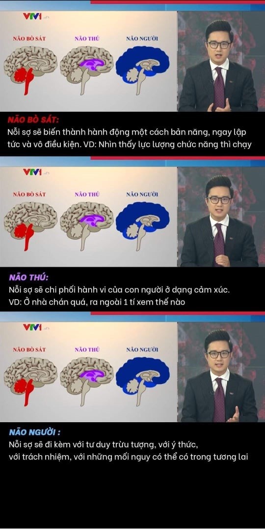 Mới đây, chuyên mục Điểm tuần của VTV24 lên sóng trưa ngày 31/7 với chủ đề "Nỗi sợ mùa Covid-19: Từ những "vận động viên" đến virus tin giả" đã trở thành tâm điểm tranh luận trên mạng xã hội. Trong đó, BTV Sơn Lâm của Chuyển động VTV24 đã "phân tích" cấu tạo não người với ám chỉ những người vi phạm quy định phòng, chống dịch COVID-19 là chỉ sử dụng "não bò sát", "não thú".