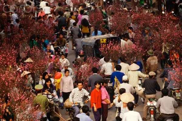 Chợ hoa ngày Tết diễn ra trên lề đường song song với đường phố tấp nập người qua lại sắm Tết.