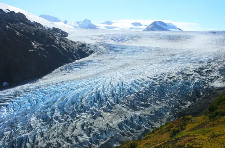 Công viên quốc gia Kenai Fjords ở Alaska nổi tiếng bởi có dòng sông băng hùng vĩ. Công viên cũng là nơi sinh sống của nhiều loại động vật hoang dã Alaska như cá voi, dê núi, gấu, nai sừng tấm. (Nguồn ảnh: Insider)