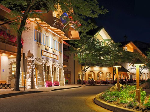 Frankenmuth, Michigan, nổi tiếng với kiến trúc theo phong cách Bavaria. Đây cũng là nơi có cửa hàng Giáng sinh lớn nhất thế giới, 'Christmas Wonderland', mở cửa từ năm 1945, thu hút hơn 2 triệu khách đến tham quan mỗi năm vì sự lộng lẫy như thiên đường cổ tích của mình.