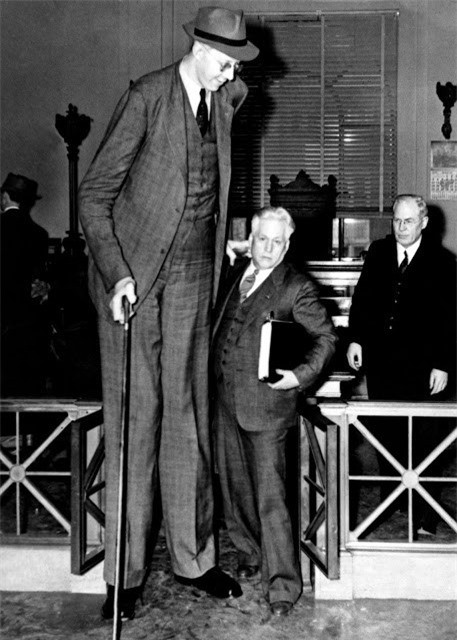 Người đàn ông cao nhất lịch sử y khoa nhân loại là Robert Pershing Wadlow, sinh ngày 22/2/1918, với chiều cao 2,72 mét, đo ngày 27/6/1940.