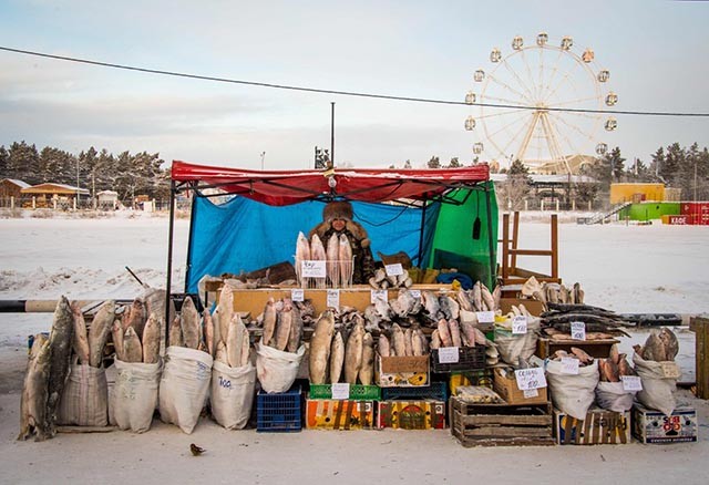 Cộng hòa Sakha, còn gọi là Yakutia, nằm ở phía đông bắc nước Nga, với hơn 40% diện tích nằm trên vòng Bắc Cực. Yakutsk là thủ đô của nước này, cũng là một trong những thành phố lớn lạnh nhất trên trái đất, được xây dựng trên băng vĩnh cửu.