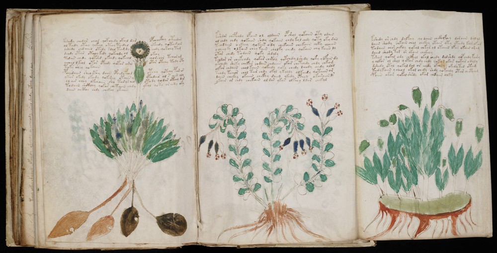 Bản thảo Voynich là một trong những  bí ẩn khó giải nhất lịch sử nhân loại. Tài liệu cổ này gồm 240 trang được nhà bán sách cổ người Ba Lan Wilfrid Voynich mua của một thư viện đại học ở Italy vào năm 1912.