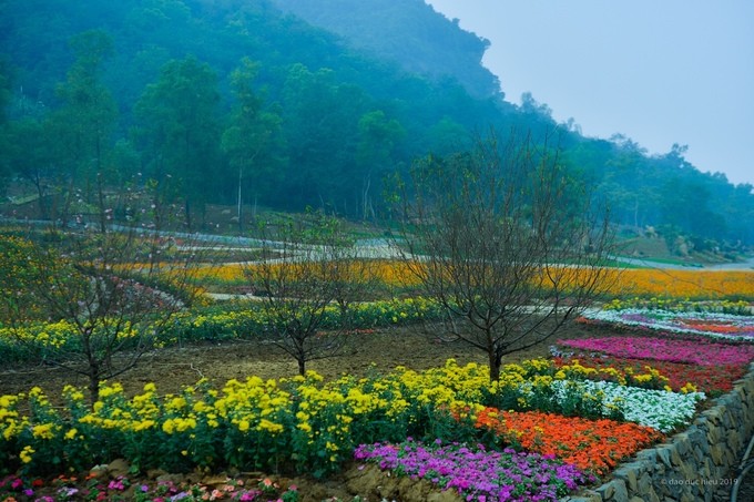 Sau những ngày nghỉ Tết, nhiều gia đình, cơ quan tổ chức đi du xuân và như mọi năm địa điểm  Ninh Bình là nơi được lựa chọn. Đặc biệt Tết 2019, đến với vùng đất cố đô, ngoài đi chùa Bái Đính hay Tràng An, các du khách còn có thể thăm thú vườn hoa rộng 15 hecta khoe sắc.