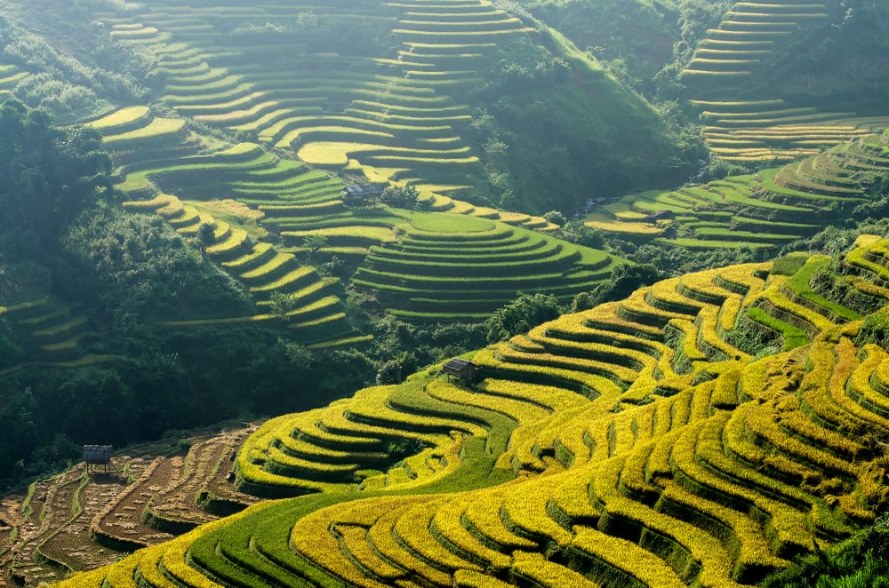 Vẻ đẹp siêu thực của những thửa ruộng bậc thang ở xã Lao Chải, huyện  Mù Căng Chải, Yên Bái. Ảnh: Chanwit Whanse / 500px.com.