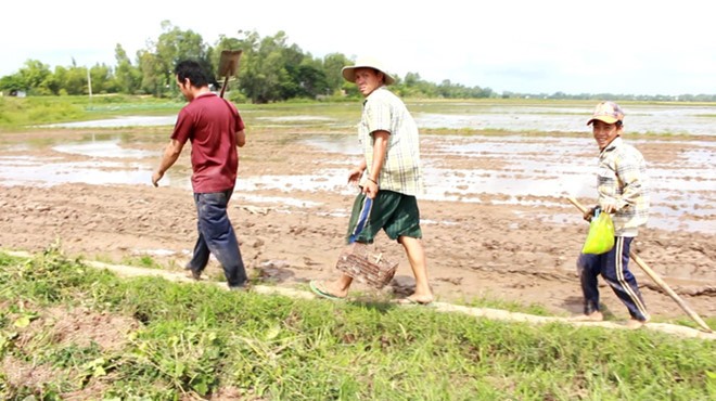 Khi ruộng lúa thu hoạch xong, chuột đồng không còn nơi trú ẩn sẽ đào hang lẩn trốn. Vì vậy, những người săn chuột đồng cũng dễ dàng bắt được bằng cách đào hang hoặc gài rập. Mỗi buổi, một người săn chuột đồng siêng năng có thể bắt được từ 3-5 kg thu nhập từ vài trăm ngàn đồng.