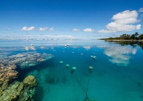 Khu  nuôi cấy ngọc trai thường nằm sâu dưới đáy biển. Ảnh: NatGeo.