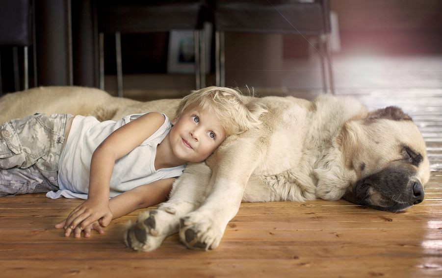 Những chú  thú cưng trong nhà luôn là những người bạn đầu tiên của các bé. Ảnh: Elena Shumilova.