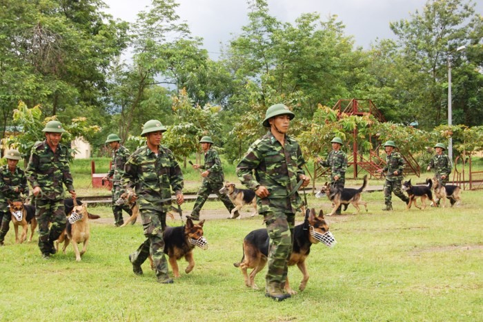 Đến Trường Trung cấp 24 Biên phòng trong ngày lạnh giá, chúng tôi được thực tế quan sát, tìm hiểu công tác đào tạo các huấn luyện viên sử dụng chó nghiệp vụ để thực hiện nhiệm vụ tuần tra biên giới; phát hiện, tấn công địch và các loại tội phạm; tìm kiếm, cứu nạn; bảo vệ các mục tiêu trọng yếu. Ảnh: Huấn luyện viên dắt  chó nghiệp vụ ra thao trường huấn luyện. Ảnh: Phan Anh.