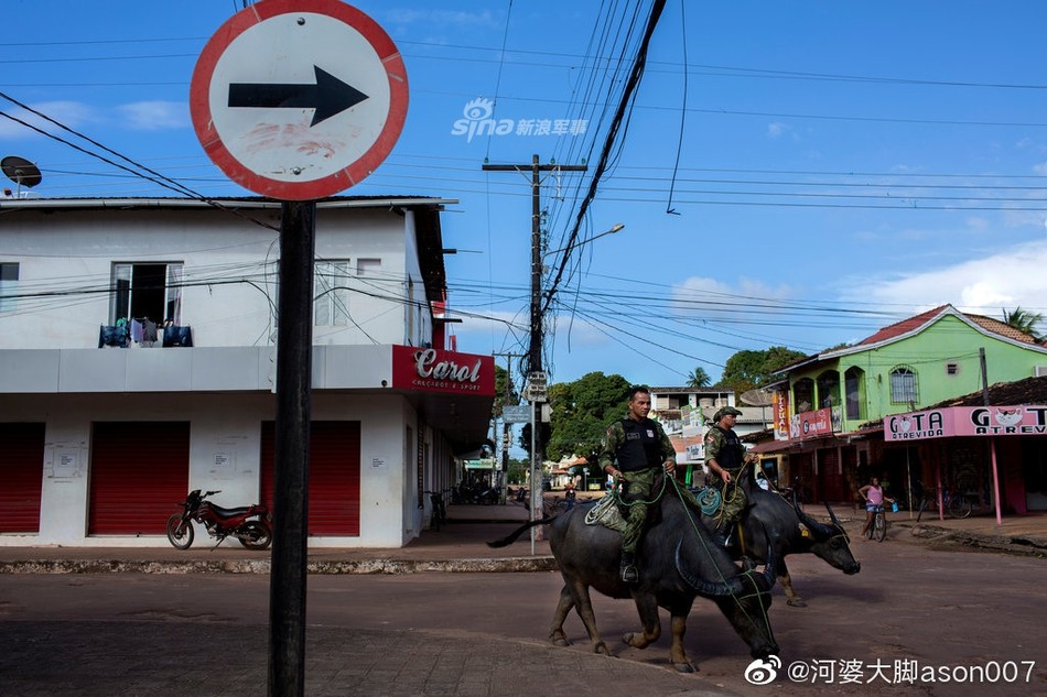  Cảnh sát Brazil trên đảo Marajo đang sử dụng loại trâu nước có nguồn gốc từ châu Á theo một cách không tưởng - đó là dùng chúng làm phương tiện đi tuần tra. Nguồn ảnh: Sina.