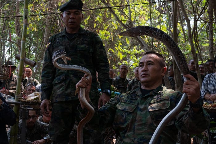 Năm nay, cuộc tập trận Rắn Hổ Mang Vàng đã được Mỹ bắt đầu tổ chức tại Thái Lan từ đầu tháng 3.