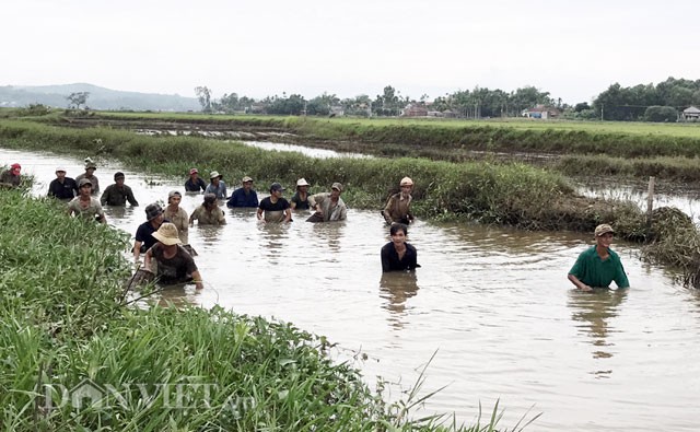 Thời điểm này ở Quảng Ngãi bắt đầu vào mùa mưa, là lúc thuận lợi để đi đánh bắt cá đồng của người dân ở Đức Thắng (huyện Mộ Đức, Quảng Ngãi) và các vùng quê lân cận. Cùng với các hình thức thả lưới, giăng câu, cất vó....người dân ở đây còn duy trì hình thức đánh  bắt cá tập thể bằng nơm tre khá độc đáo. 