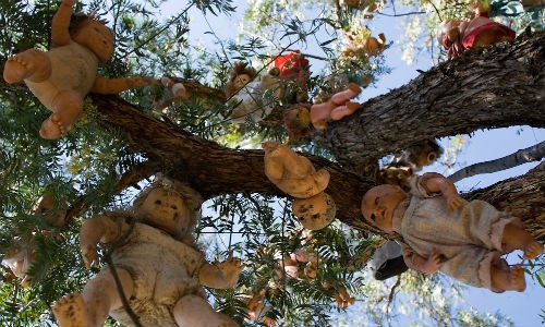 Nằm trên con kênh Xochimilco ở Mexico, hòn đảo Isla de Las Munecas được mệnh danh là "Đảo Búp bê". Những con búp bê cũ kỹ giăng kín khắp cành cây trên đảo.