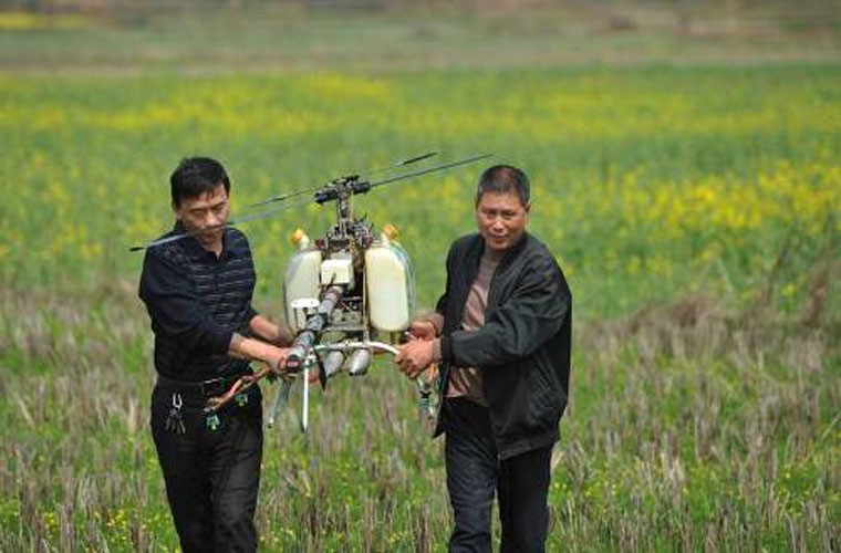 Ông Zhang Aiguo (phải) ở tỉnh Hồ Nam, Trung Quốc đang chuẩn bị cho chiếc UAV bay giữa cánh đồng được ông thuê để trồng trọt rộng tới 2.500 mẫu (133 ha) vào ngày 20/3.