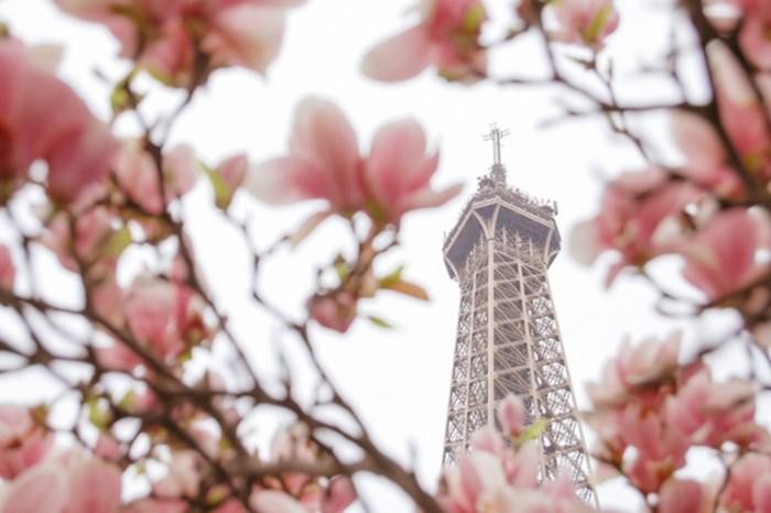 Mở cửa vào năm 1889,  Eiffel trở thành công trình biểu tượng, đáng tự hào của người dân kinh đô ánh sáng. Được xây dựng bởi nhà thiết kế Gustave Eiffel, khối thép khổng lồ này bao gồm các nhà hàng, hiệu ăn nhanh, phòng trưng bày, quán lưu niệm, điểm truy cập Internet, cửa hàng bán con tem kỷ niệm... với khoảng 500 nhân viên làm việc. Ảnh: BACA.