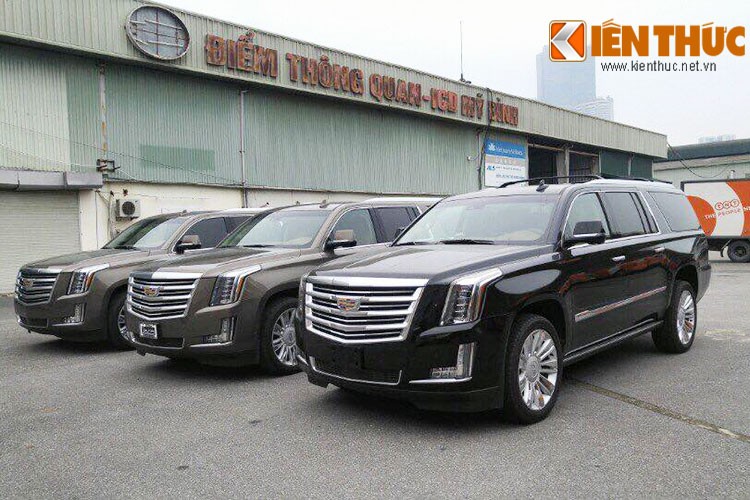 Trước đó,  Cadillac Escalade 2015 đã về Việt Nam với số lượng ít ỏi phân bổ ở TP HCM và Hà Nội. Với dàn xe mới nhất trong bài viết này, đây là những phiên bản cao cấp nhất so với các bản Cadillac Escalade thường từng xuất hiện trước đây.