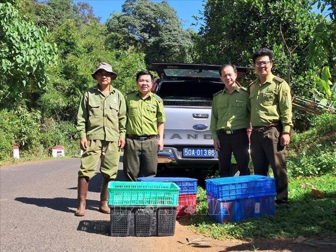 Ngày 20/12, ông Vương Đức Hòa, Giám đốc Ban quản lý Vườn quốc gia Bù Gia Mập (huyện Bù Gia Mập, tỉnh Bình Phước) cho biết, Trạm Cứu hộ động vật hoang dã Củ Chi (Thành phố Hồ Chí Minh) phối hợp với Trung tâm Cứu hộ, bảo tồn và Phát triển sinh vật-Vườn Quốc gia Bù Gia Mập thực hiện thả 14 loài  động vật hoang dã quý hiếm về rừng tự nhiên thuộc lâm phần Vườn quốc gia Bù Gia Mập. (Ảnh: TTXVN).