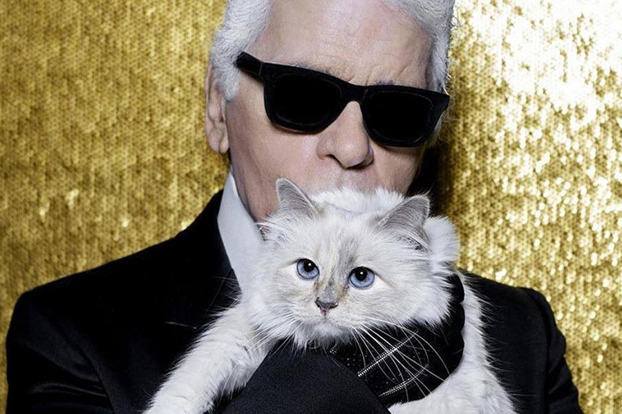  1. Choupette: Năm 2019, con mèo Choupette được thừa kế khối tài sản khổng lồ trị giá 200 triệu USD từ người chủ đã mất là của nhà thiết kế Chanel Karl Lagerfeld.