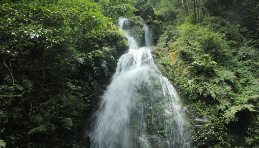 Vườn Quốc gia Vũ Quang (huyện Vũ Quang, Hà Tĩnh) được là một trong những trung tâm đa dạng sinh học bậc nhất của Việt Nam với nhiều loài quý hiếm, nguy cấp được ưu tiên bảo tồn.