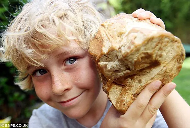 Cậu bé may mắn này tên là Charlie Naysmith, 8 tuổi, người New Zealand. " Kho báu" mà cậu bé nhặt được có hình dáng như một cục đá, màu vàng xen lẫn trắng.