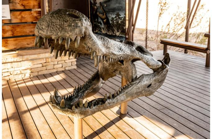 1. Deinosuchus: Deinosuchus là một loài cá sấu cổ đại với chiều dài gần 11 mét và cân nặng 2,5-5,5 tấn.  Quái vật này sống cách đây hơn 75 triệu năm và được xem là quái vật săn mồi lớn nhất tại Bắc Mỹ trong thời kỷ Phấn Trắng. Có đề xuất rằng chúng có thể săn khủng long.