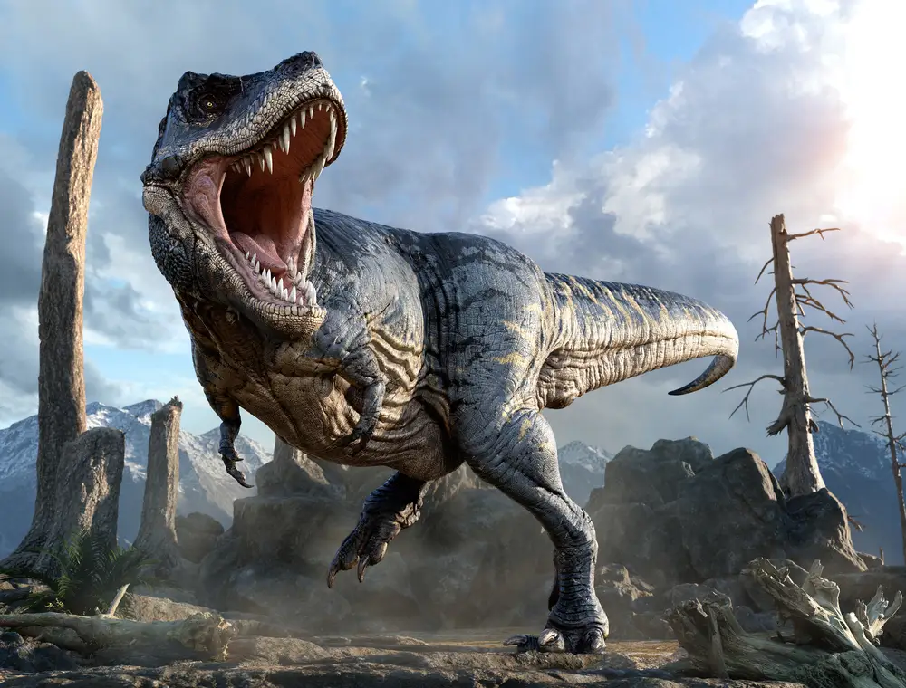 1. Khủng long bạo chúa T. Rex: Loài  động vật này tuyệt chủng vào khoảng 65 triệu năm trước sự kiện tuyệt chủng kỷ Creta. Chiều dài của T. Rex là 12,8m, chiều ngang hông 4m, trọng lượng lên đến 7 tấn. Hóa thạch của chúng được tìm thấy ở Bắc Mỹ.