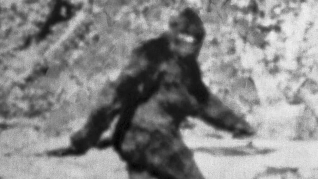  Quái vật Bigfoot (hay còn gọi Sasquatch) là một trong những sinh vật bí ẩn nhất thế giới ở Tây Bắc Thái Bình Dương.