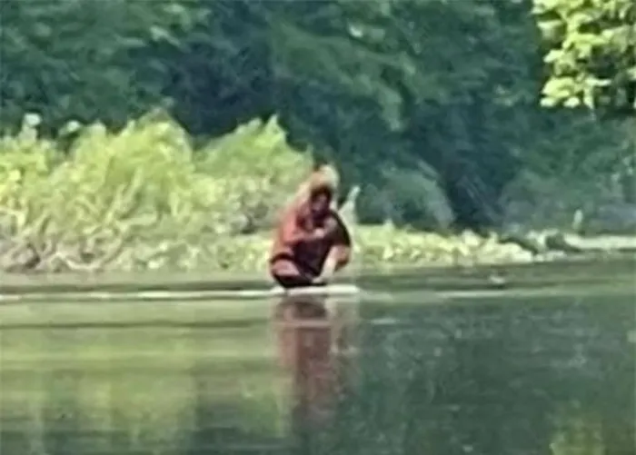 Một video ghi lại sinh vật kỳ lạ được cho là  Bigfoot, quay tại sông Cass, Michigan vào năm 2021, đã thu hút sự chú ý lớn. Sinh vật này có màu nâu, to lớn, và dường như đang ôm một đứa trẻ sơ sinh. (Ảnh: DNVN)