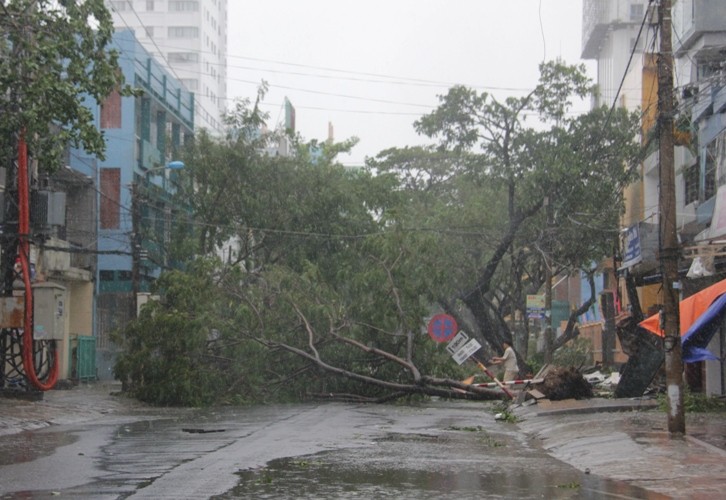 Các tuyến đường trung tâm TP Đà Nẵng ngổn ngang cây xanh ngã đổ...