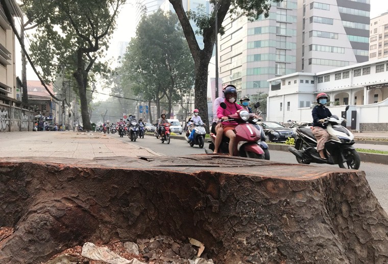 Những ngày qua, nhiều người qua lại tuyến  đường Tôn Đức Thắng (từ bờ sông Sài Gòn đến đại lộ Lê Duẩn, quận 1, TP.HCM) cảm nhận sự thay đổi rõ rệt vì sự trống trải trên tuyến đường được xem là lãng mạn nhất TP này.