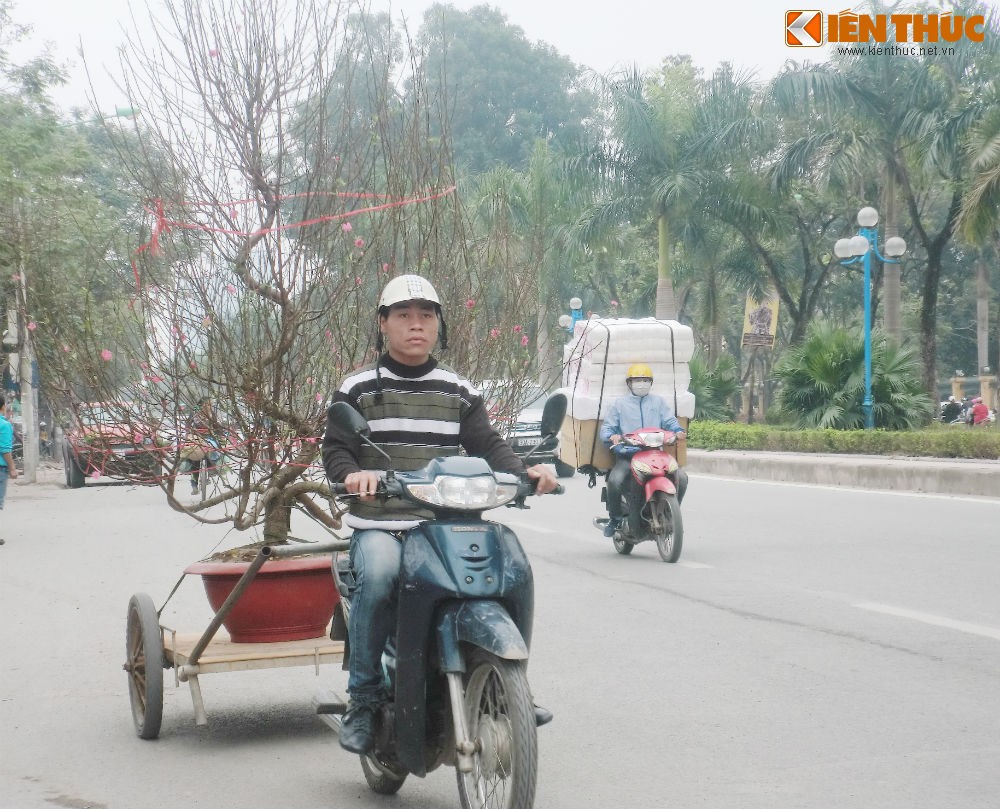 Càng vào những ngày cận  Tết Nguyên Đán, không khí mua sắm cây cảnh của người dân lại càng trở nên náo nhiệt và nhộn nhịp.