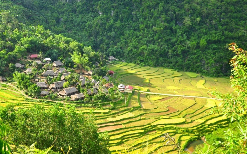 Theo thông tin trên báo Người Lao động, khu  resort Pù Luông Retreat rộng hàng ngàn mét vuông, với 8 bungalow xây dựng ngay sát mép ruộng bậc thang, cùng nhiều ngôi nhà sàn ngay tại bản Đôn, xã Thành Lâm, huyện Bá Thước. Ảnh: puluongretreat.com.