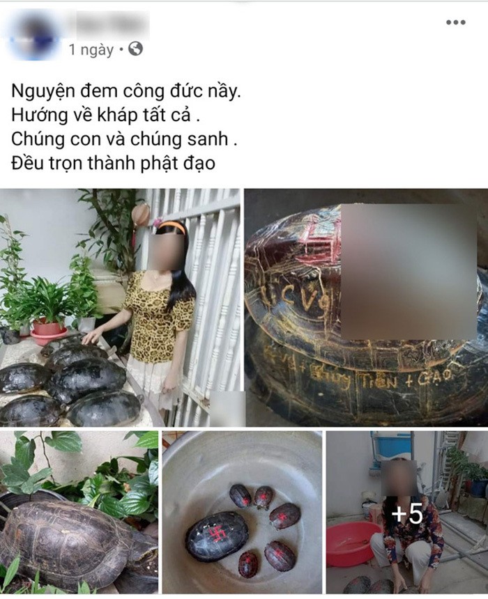 Mới đây cư dân mạng bất ngờ chuyền tay nhau hình ảnh được cho là chụp từ Facebook mẹ ca sĩ Thủy Tiên chia sẻ việc thả tùa để  phóng sinh.