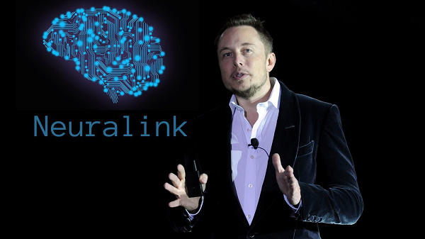  Công ty Neuralink của Elon Musk đã cấy ghép thành công thiết bị không dây vào hộp sọ của một con khỉ, và nó có thể chơi game bằng chính ý nghĩ của mình.