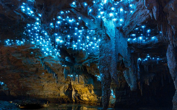  Hang động Waitomo Glowworm, thuộc đảo Bắc (New Zealand) là địa điểm thu hút khách du lịch nhờ khung cảnh huyền ảo, lấp lánh ánh sáng từ những con đom đóm.