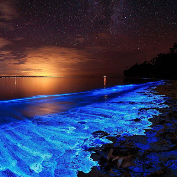  Bãi biển phát sáng Mudhdhoo nằm ở quốc đảo Maldives nổi tiếng vì có thể phát sáng vô cùng đẹp mawsrt. Hiện tượng sóng biển có màu dạ quang xanh này xảy ra do sự phát sáng của một số loại sinh vật phù du - tảo biển - sống lơ lửng trong nước biển.