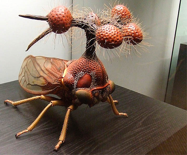 Châu chấu Brazil (Brazilian Treehopper) là một loài côn trùng khá phổ biến, chủ yếu sống trong rừng nhiệt đới, có lẽ là một trong những sinh vật có ngoại hình kỳ quái nhất trên hành tinh.