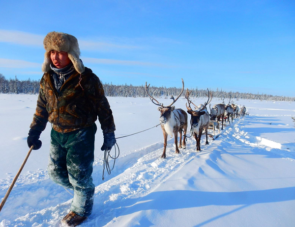  Yakutia (tên chính thức: Cộng hòa Sakha, Nga) là một chủ thể liên bang của Nga, Yakutia nổi tiếng với khí hậu khắc nghiệt; nhiệt độ nơi đây được xem là thấp nhất Bắc bán cầu khi nhiệt độ trung bình mùa đông thường xuyên xuống dưới -35°C, thậm chí -71°C như tại Verkhoyansk và Oymyakon.