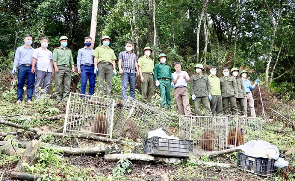 Ngày 16/3, Vườn quốc gia Vũ Quang đã tiếp nhận 39 cá thể  động vật hoang dã quý hiếm từ Trung tâm cứu hộ, bảo tồn và phát triển sinh vật Hoàng Liên Sơn (Vườn quốc gia Hoàng Liên Sơn, tỉnh Lào Cai).